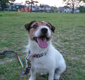 2017-08-20 18.56.16 - コピー (2)