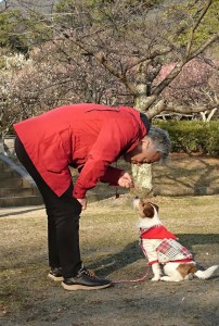 2018-02-20 16.28.47-1