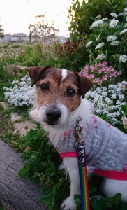 2018-05-16 19.13.03 (2)