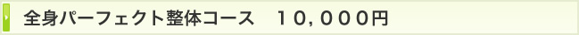 全身パーフェクト整体コース　10000円